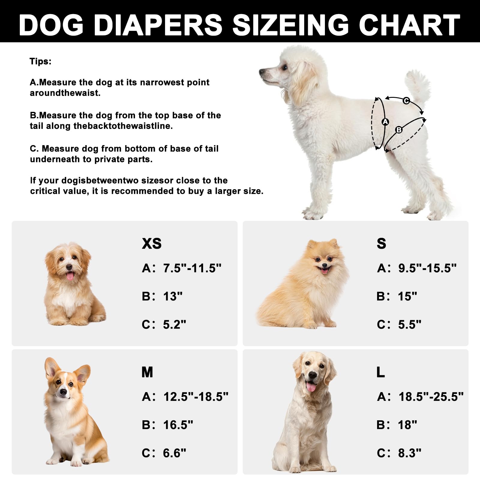 Pañales Reutilizables para Perros para Hembras 3, pañales para Perros Lavables Premium Altamente absorbentes, pañales Flexibles para Cachorros, pañales duraderos para Perros a Prueba de Fugas para