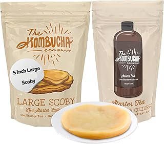 The Kombucha Company Large Kombucha Scoby | 16oz Bottle of Starter Tea &...