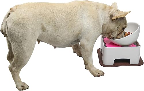 WZ PET Cuenco elevado de cerámica para perros, juego de cuencos elevados ajustables para perros y gatos, antideslizante, plato de alimentación de