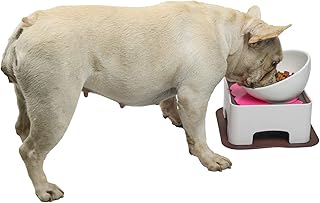 WZ PET Cuenco elevado de cerámica para perros y gatos, ajustable elevado, antideslizante, plato de alimentación de mascotas para perros pequeños y medianos, color blanco