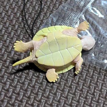 【みどりがめ】 Amazon.co.jp: 亀フィギュア ネイチャーテクニカラー MONO