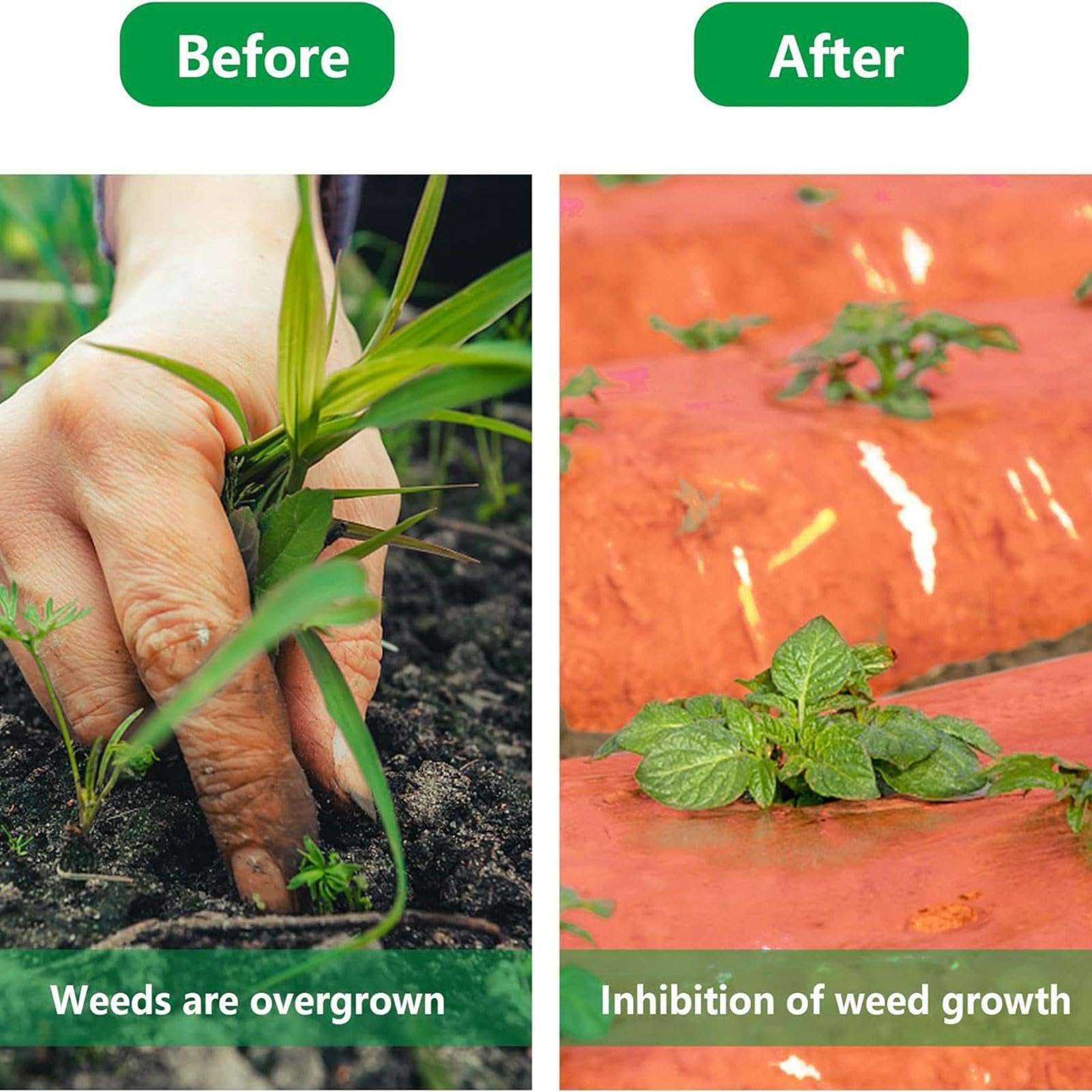 Pacciame per giardino, pacciame per orto - Piantare pellicola di pacciamatura rossa - Pacciame artificiale antierba, pellicola per pacciamatura, pellicola per coltivazione di colture agricole per la s