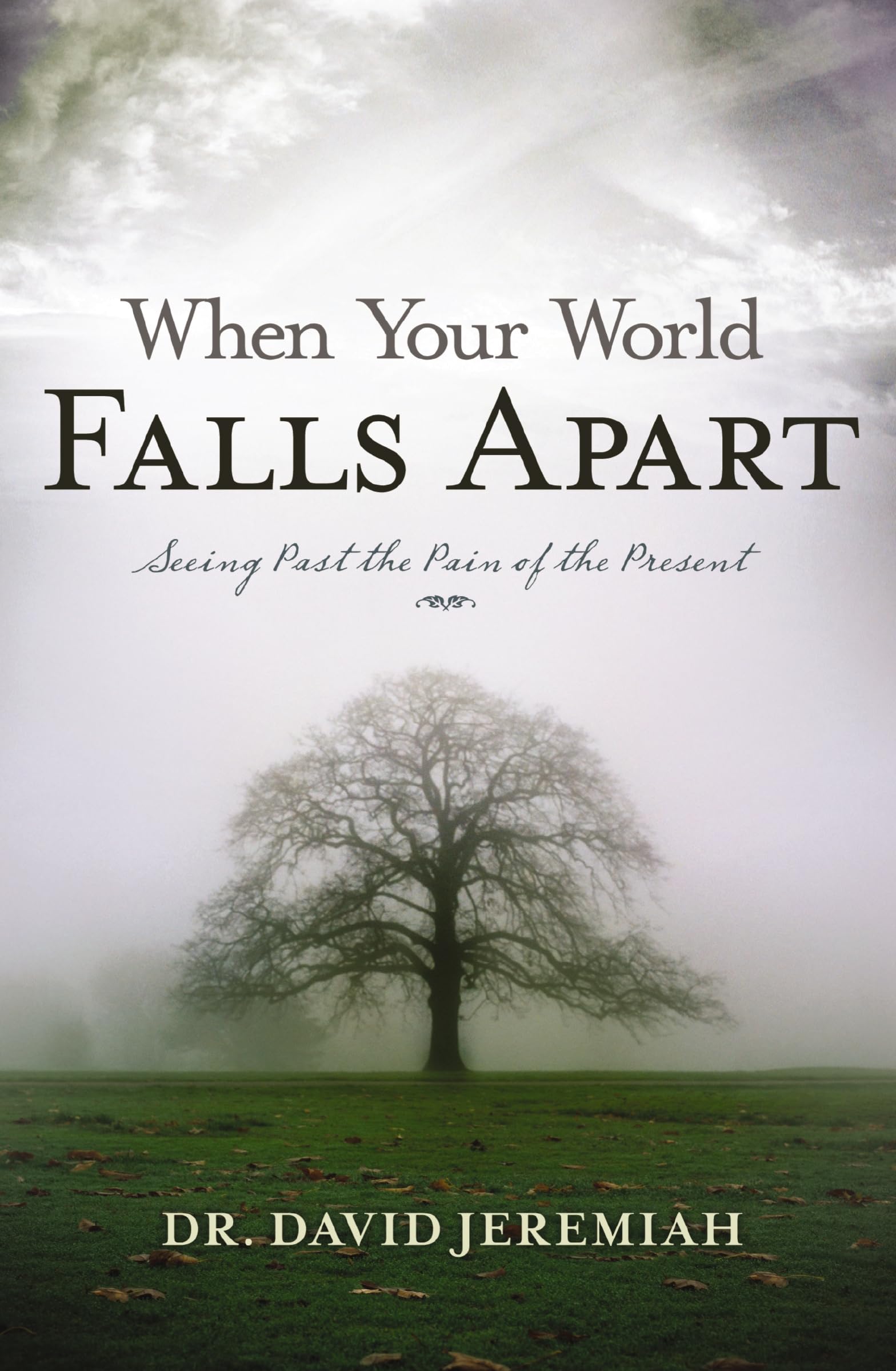 Dr. David Jeremiah Unisex Multicolor The When Your World Falls Apart: See Past The Pain Of The Present