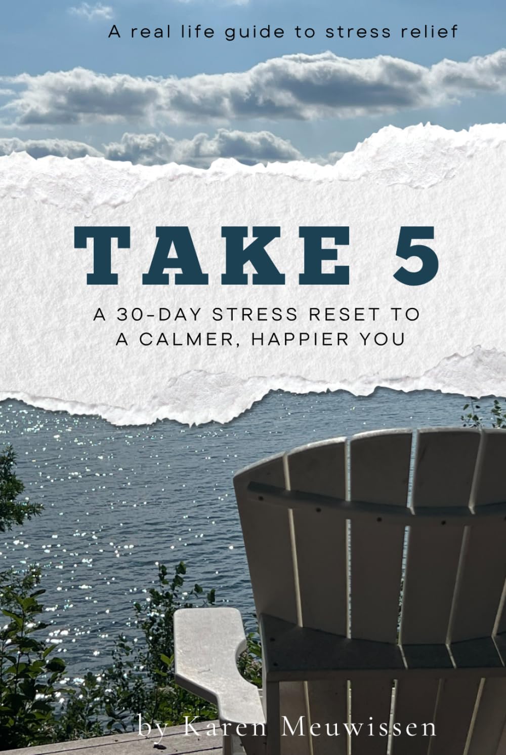 Take 5: A 30 day stress reset to a calmer, happier you