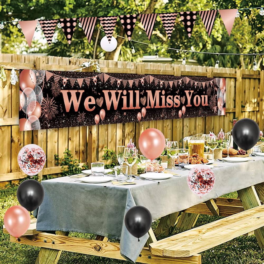 Banner We Will Miss You So Much, Striscione Per Feste Di Addio, Pensionamento, Laurea, 2 Pezzi, Pronti Da Appendere