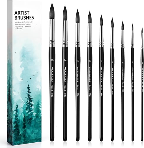 Pinceaux Aquarelle Professionnel 