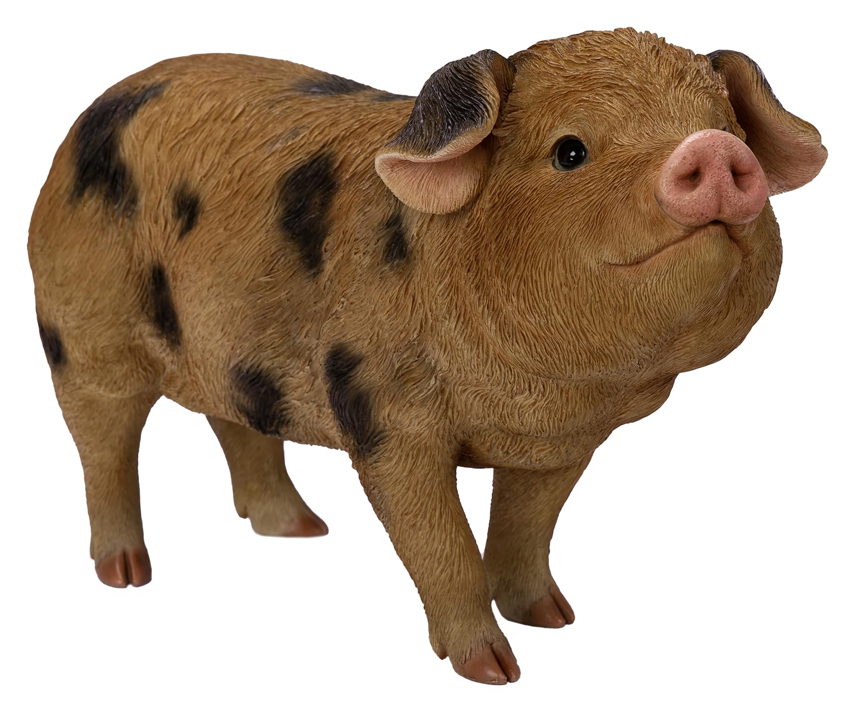 Vivid Arts - Oxford Sandy/Black Pig - XRL-OSBP-D