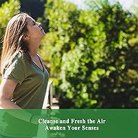 Vista 441 de MAYJAM - Aceite esencial de anís estrella, aceites puros de estrella de anís para difusores, 3.38 onzas líquidas, aceite esencial de anís estrellado