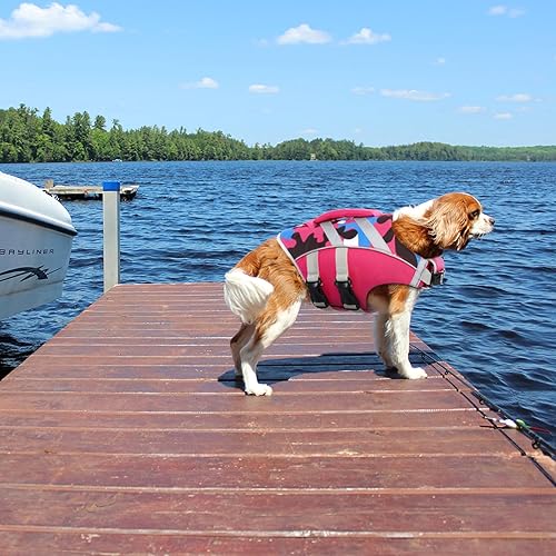 Miniatura 5 de Kuoser - Chaleco salvavidas para perros con tiras reflectantes - Vestido de alta visibilidad ajustable, salvavidas Ripstop, preservador para