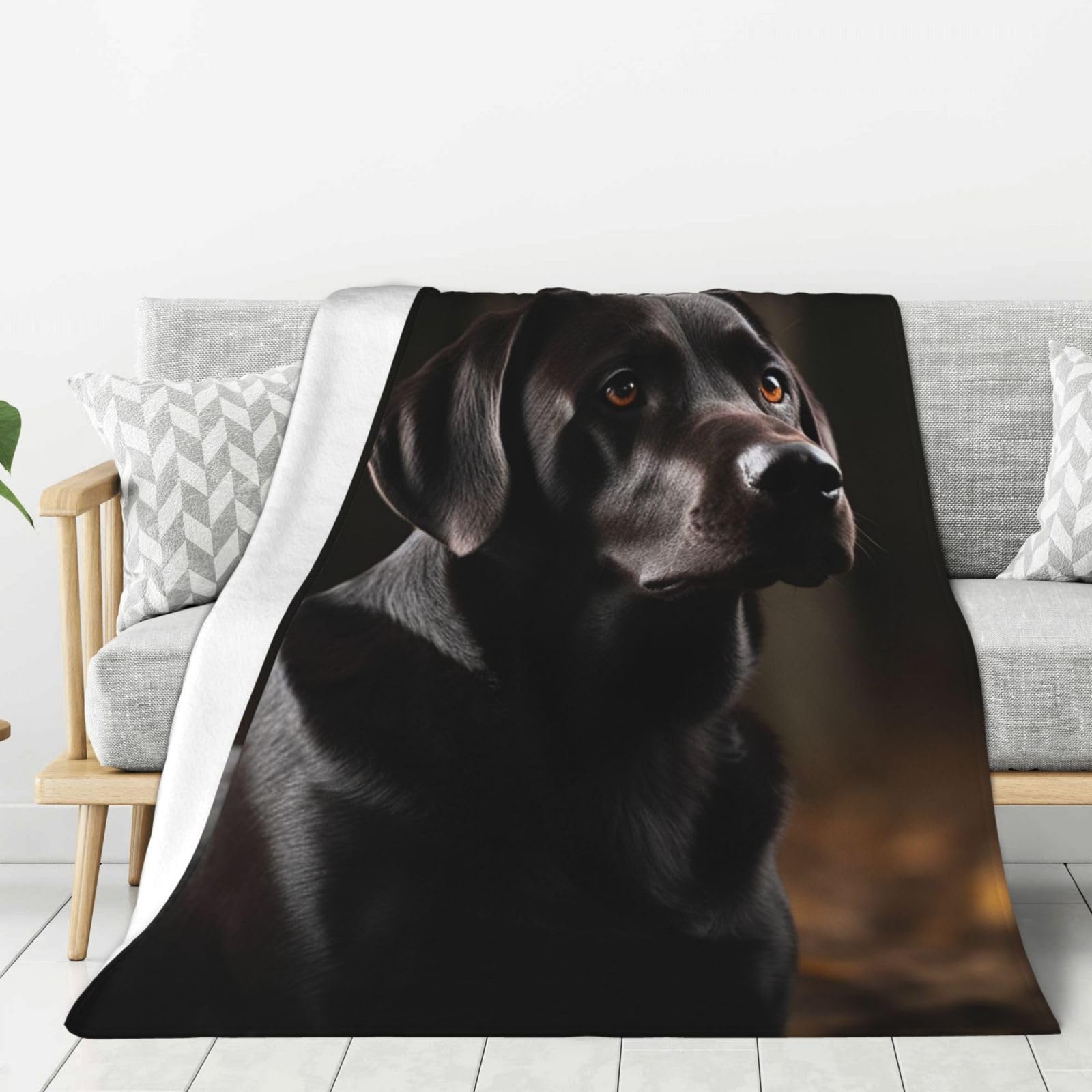 Couverture polaire en flanelle labrador noir, cadeau idéal pour lit