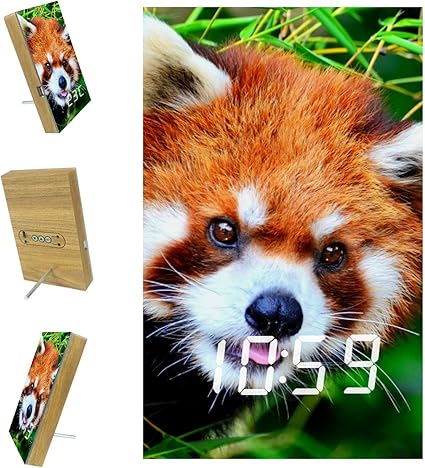 Reveils Lumineux Pour Enfants Panda Roux Animal Avec Temperature Calendrier Mode Vocal Trois Alarmes Deal Pour Les Enfants Filles Bebe Amis 15 7x10x2 3cm Amazon Fr Cuisine Et Maison