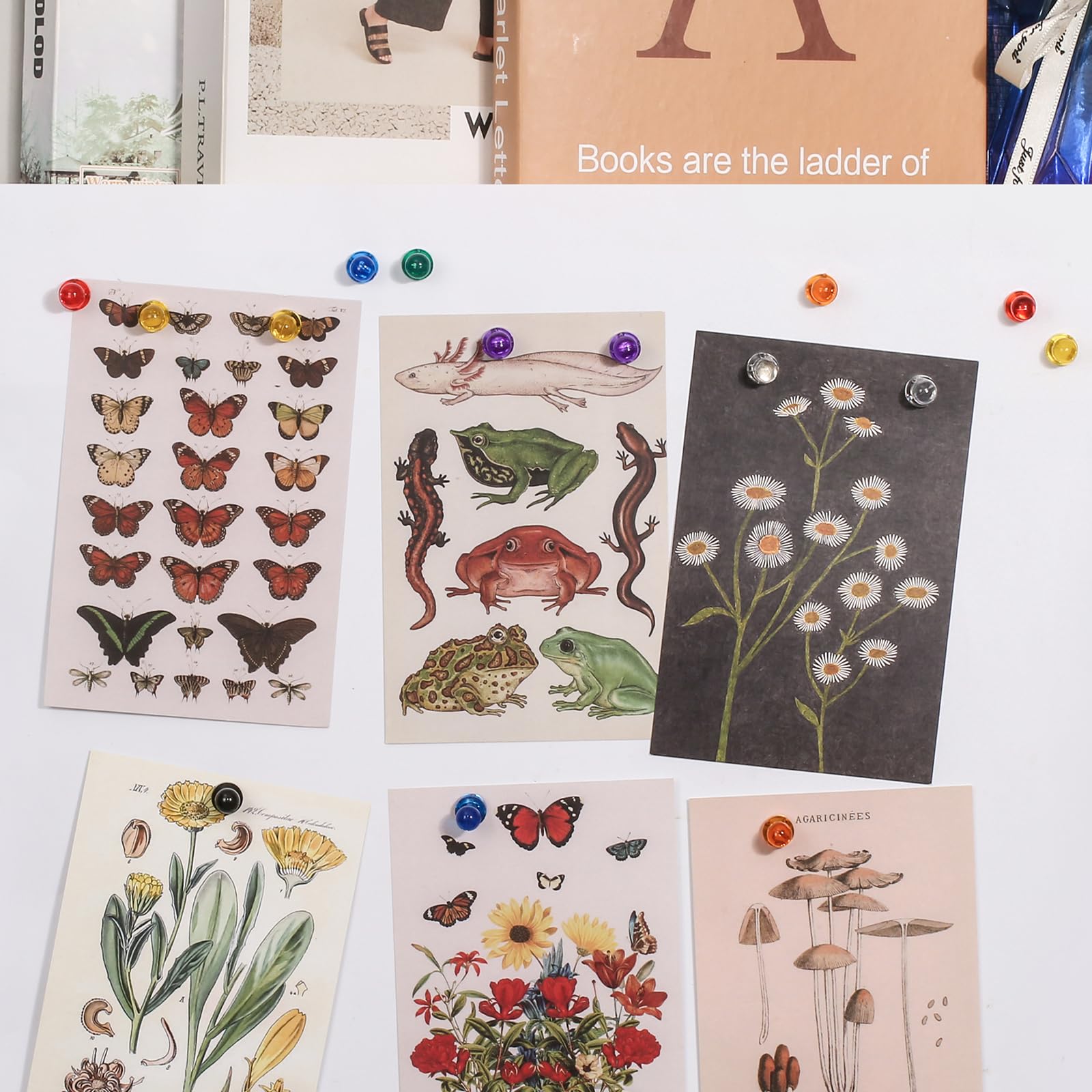 90 PCS Colorful Strong Magnetic Push Pin Magnets, 9 Assorted Color Magnetic Push Pin Magnets for Office, Classroom, Kitchen Home and School, Map Magnets, Whiteboard Magnets - Image 5