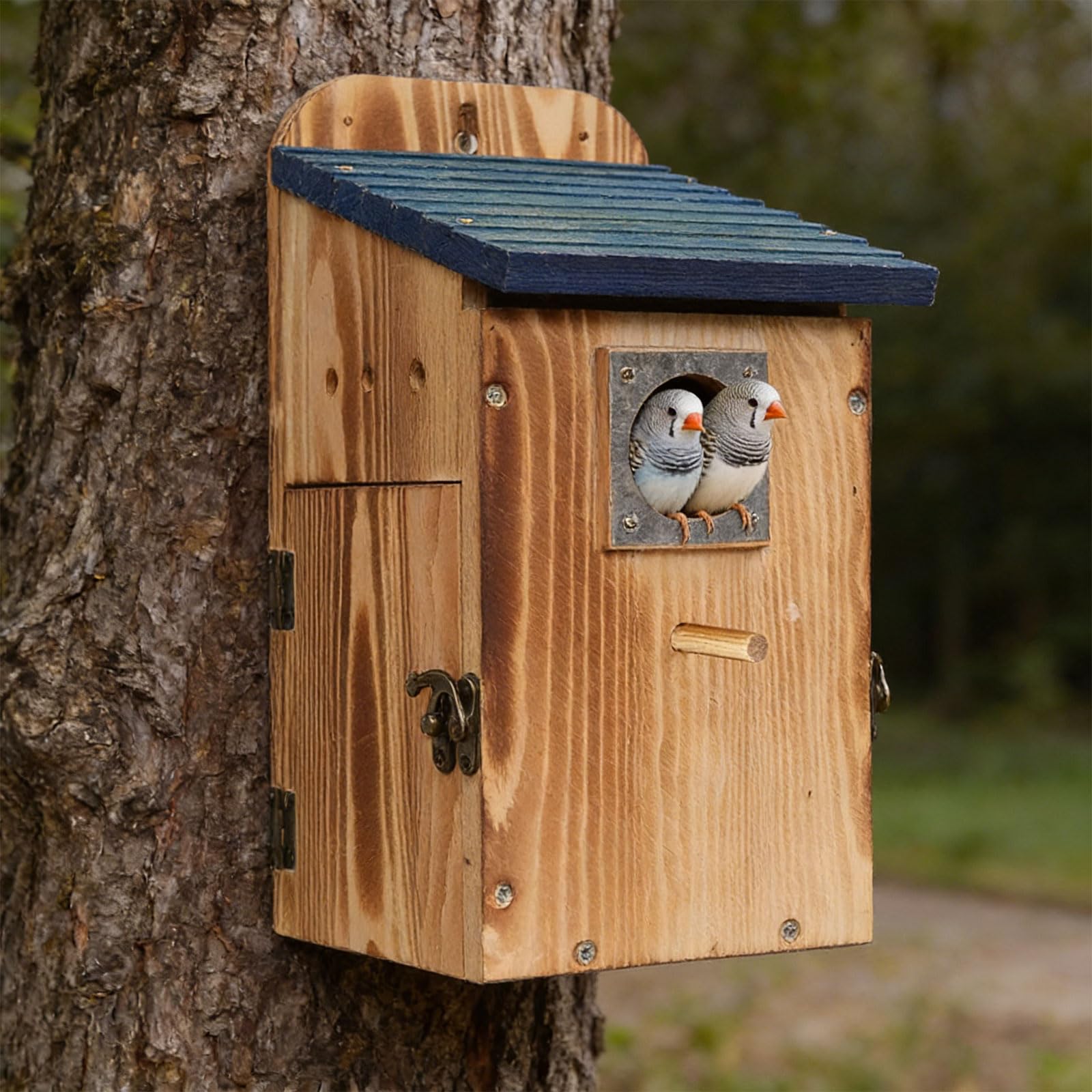 Casetta per uccelli da esterno, resistente alle intemperie, realizzata in legno di pino, pronta per essere installata