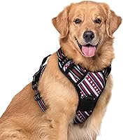 Vista 125 de rabbitgoo Arnés para perro, arnés sin tirones para mascotas con 2 clips para correa, chaleco acolchado suave ajustable para perro, chaleco Oxford