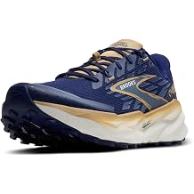 Brooks Mens Cascadia 19Sneaker