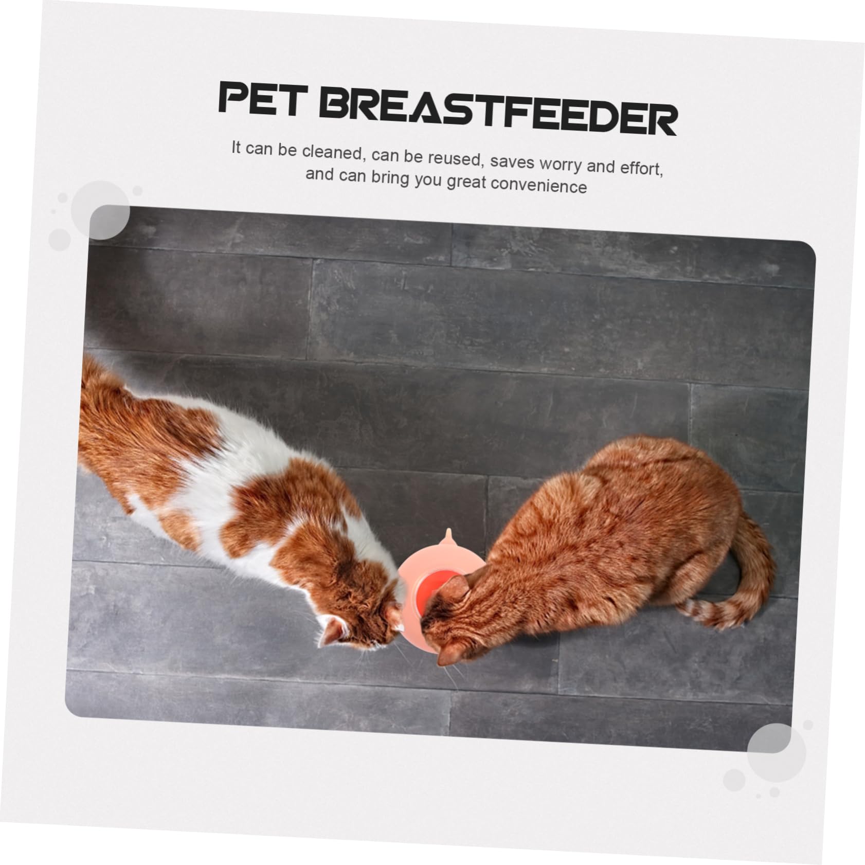 SUPVOX Amamantador para Cachorros Alimentación para Mascotas Pequeñas Herramienta De Alimentación para Cachorros Herramienta De Alimentación para Gatitos Soporte para Leche
