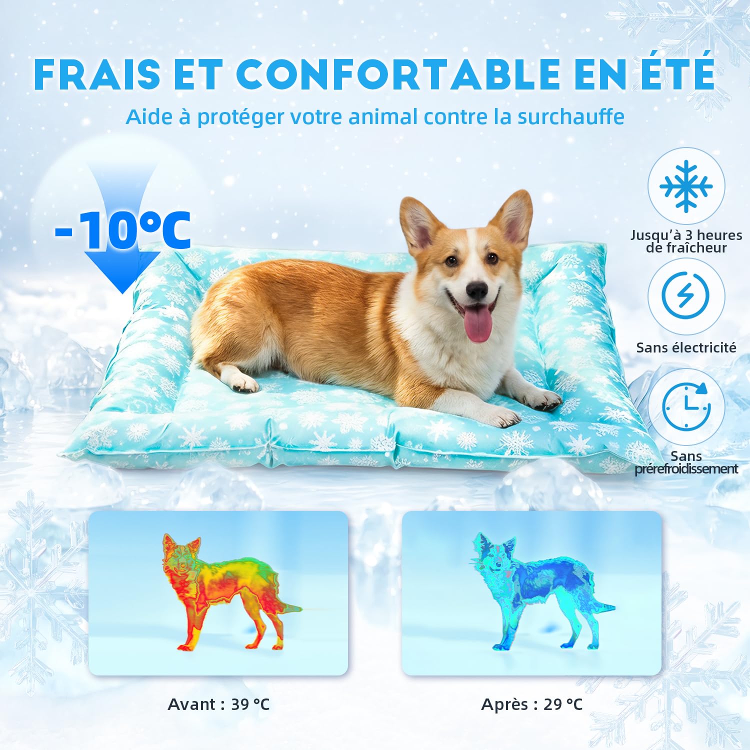 Pawtasy Tapis Rafraichissant pour Chien et Chats - Refroidissement Gel Non Toxique pour Animaux de Compagnie - Fraicheur Refrigerant Chat M 76 x 66 cm