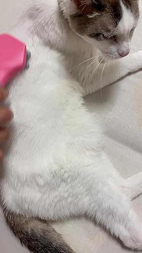 Amazon.co.jp: ファーフェッチャー 猫用 抜け毛取りブラシ L