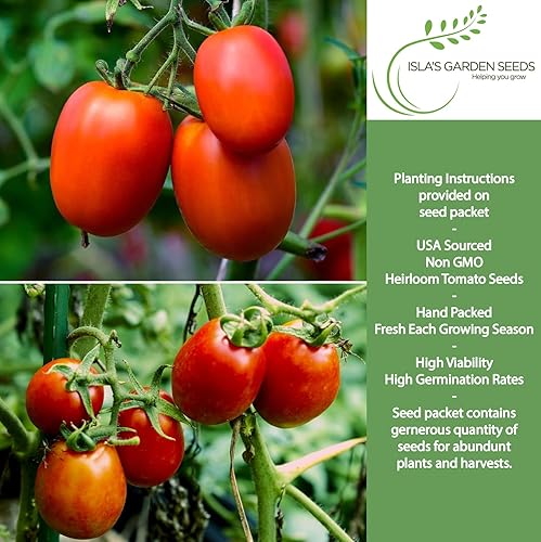 Miniatura 2 de Semillas de tomate Roma Heirloom para plantar, más de 300 semillas sin OMG, nombre botánico: Solanum lycopersicum, tasa de germinación del 90%,