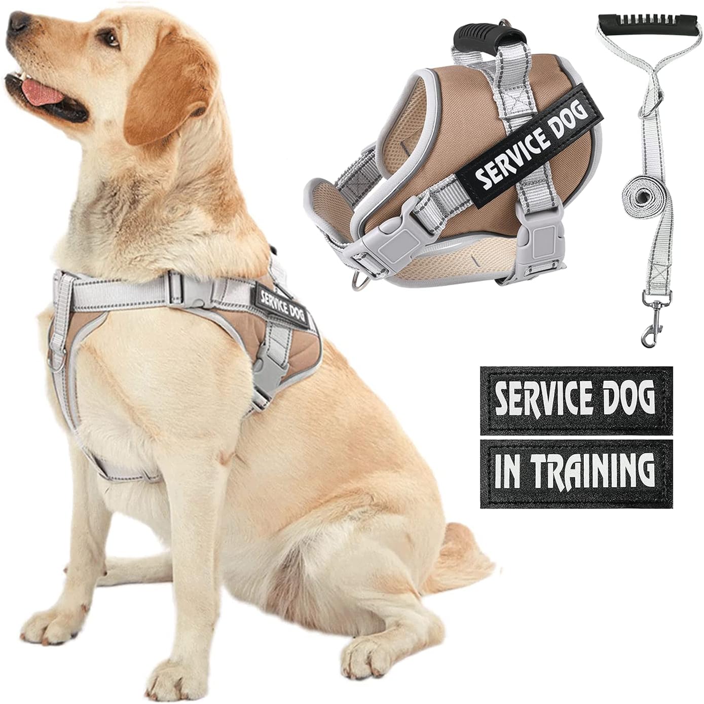 HUSDOW Service Dog Vest Harness, No Pull in Trainning Dog Harnesses with Handle & 5ft Dog Leash, Adjustable and Reflective No Chock for…