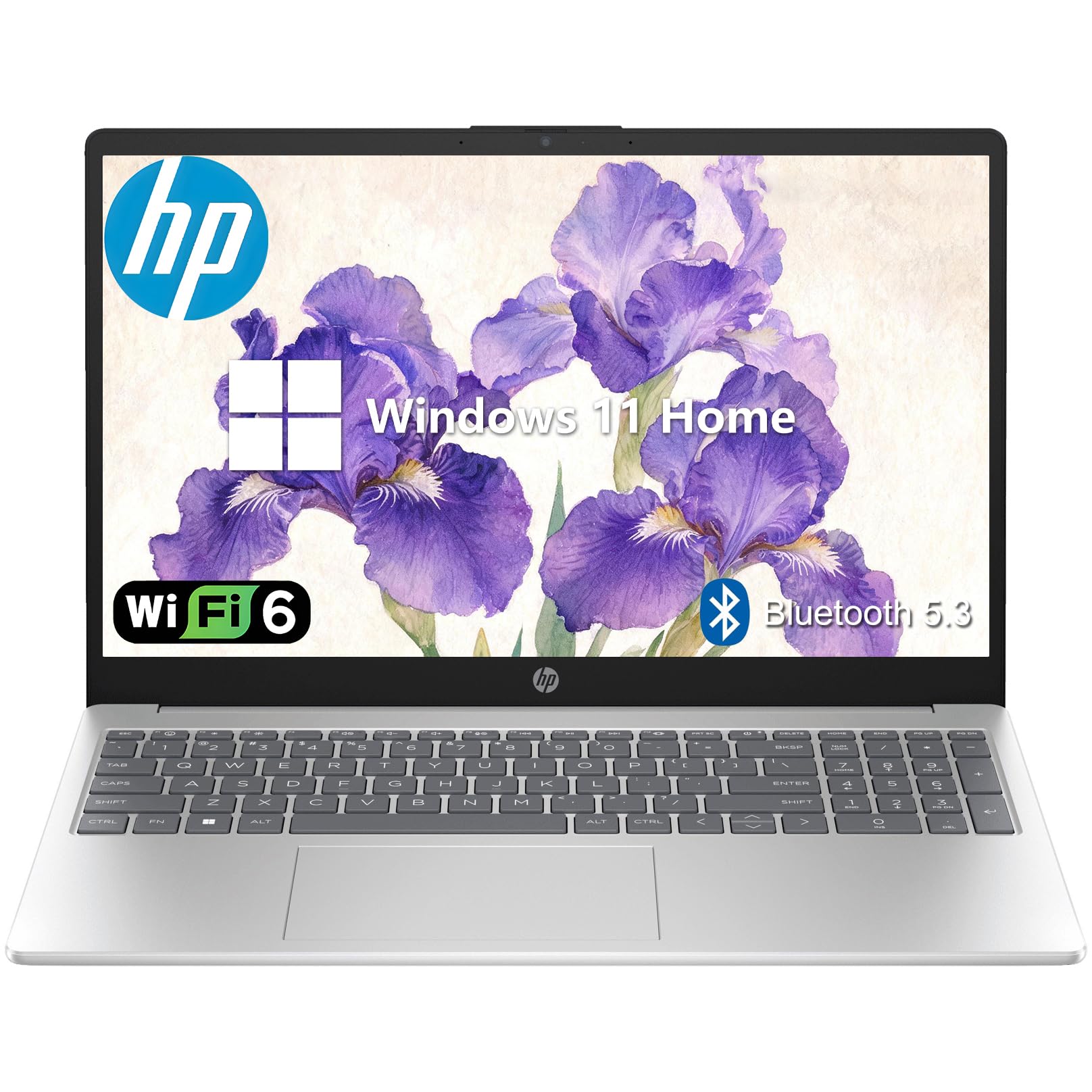 Ripakiya HP 15.6" FHD Laptop for Daily School and Home, Customized 8GB DDR4 RAM, 256GB SSD, Intel Quad-Core Processor, WiFi 6, Bluetooth 5.3, Long Battery Life, Windows 11 Home