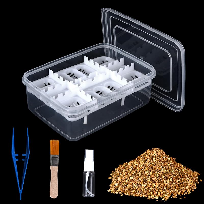 Incubadora para Ovos de Répteis com 16 Compartimentos, Vermiculita e Acessórios Aquarium Choice