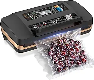 95kpa Vacuum Sealer Machine,Commercial Full Automatic Food Sealer,10-in-1 Sealing System with Double Heat Seal,Bags Storage, Easy-Lock Handle,Build-in Cutter,1 Bag Rolls and 10 pcs Pre-cut Bags