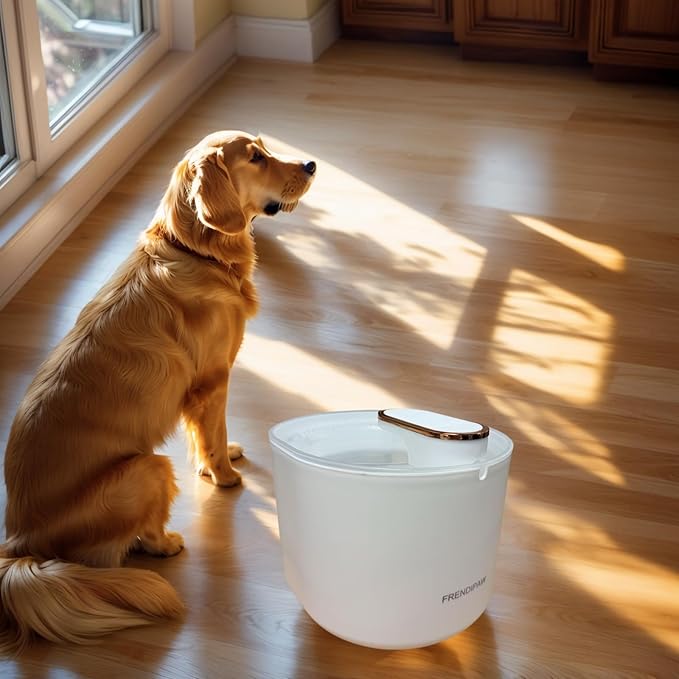 Fuente de Agua para Gatos 3L FRENDIPAW Filtro Doble Silenciosa miniatura 5