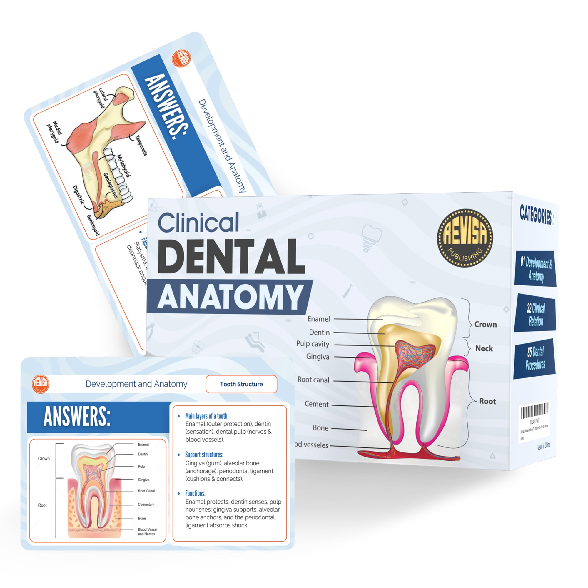 Revisa Dental Anatomy Flashcards - Exam-Ready Clinical Anatomy Flash Cards - Dental Exam Pocket Guide with Detailed Visuals and Diagrams - Portable Flashcards with Interactive Q&A
