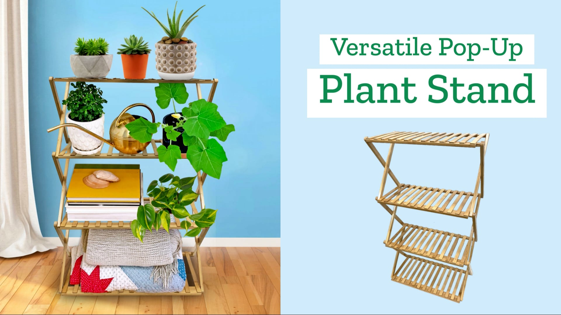 Amazon.com : Ferry Morse Multi-Tier Indoor Plant Stand & Seed