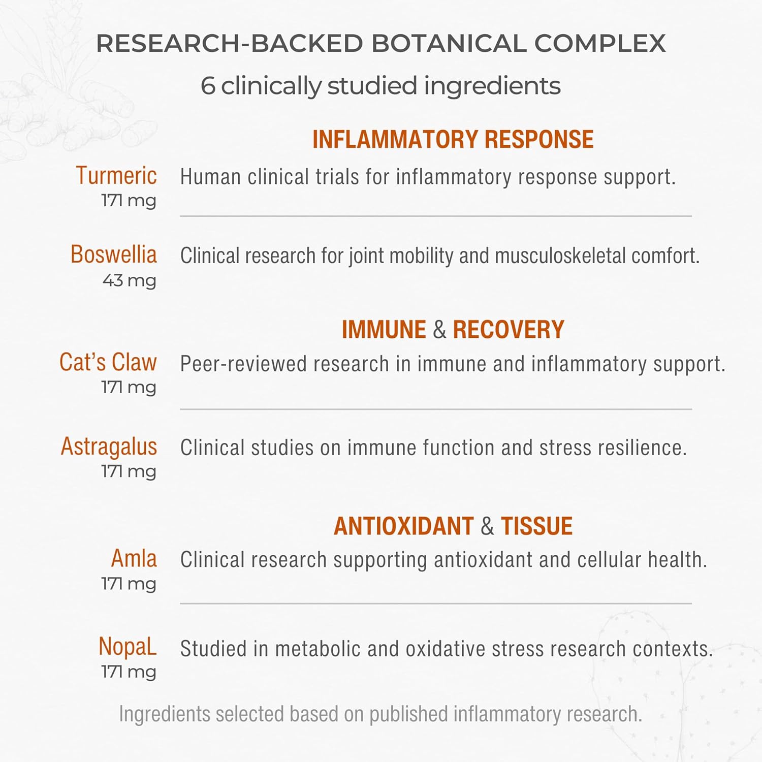 Muscle & Joint Support Supplement – Botanical Formula for Healthy Inflammatory Response | 6 Research-Backed Botanicals | Organic Turmeric | 60 Capsules | Sana Herbal
