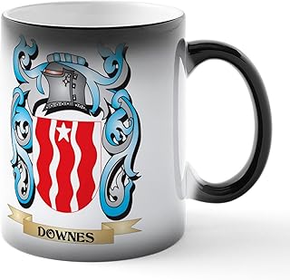 CafePress Downes Coat Of Arms Family Crest Ceramic Magic Mug Coffee, Tea Cup 11 oz