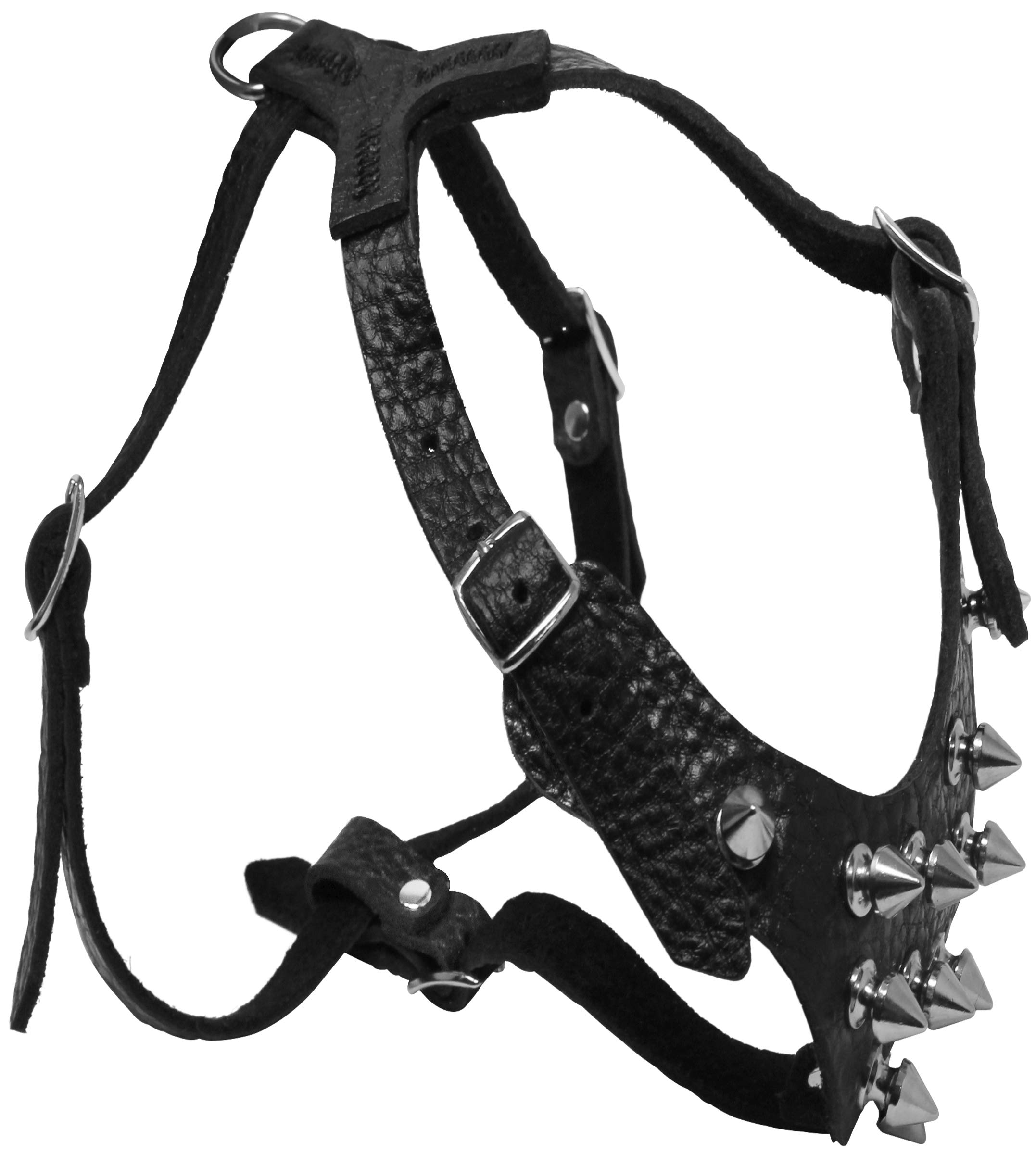 Hundegeschirr fr kleine Hunde, echtes Leder, 33 - 44,5 cm, Schwarz :  Amazon.de: Haustier