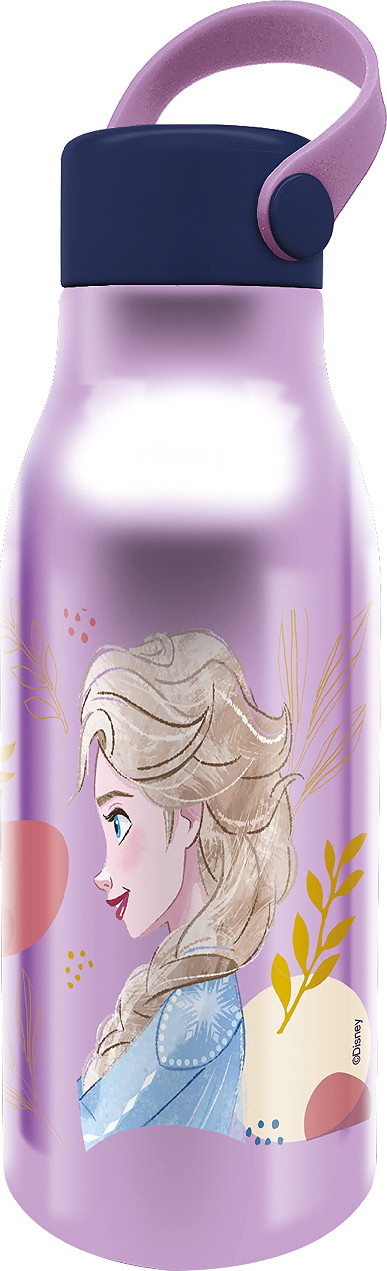 TataWay in viaggio si cresce Disney Frozen Elsa and Anna 750ml Aluminium Water Bottle for Girls with Hood and Silicone Handle
