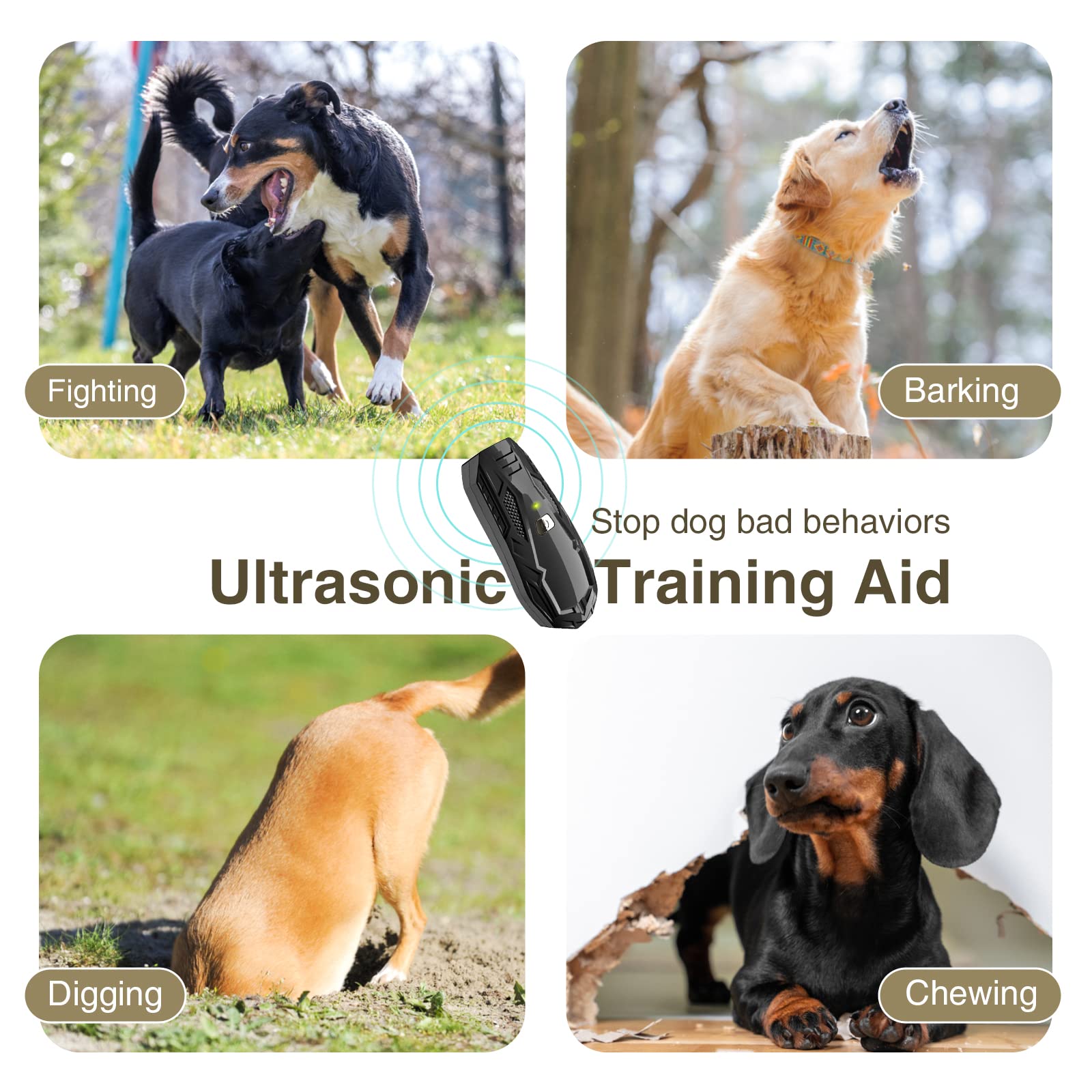 How Much Should You Spend On Dog Training