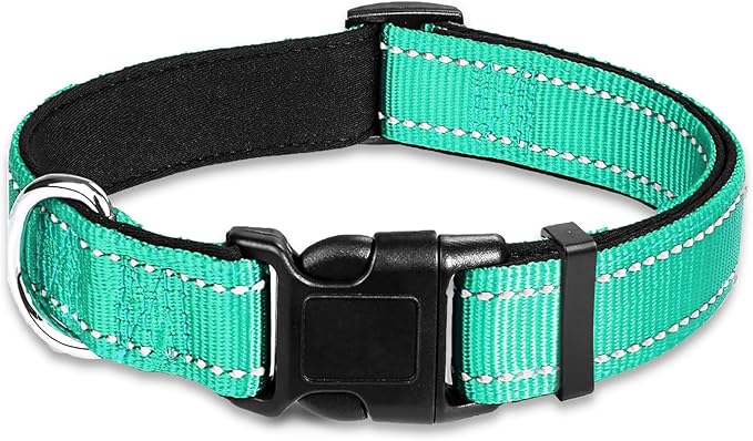 Collar reflectante ajustable para perro, nylon, teal, talla M-L miniatura 2