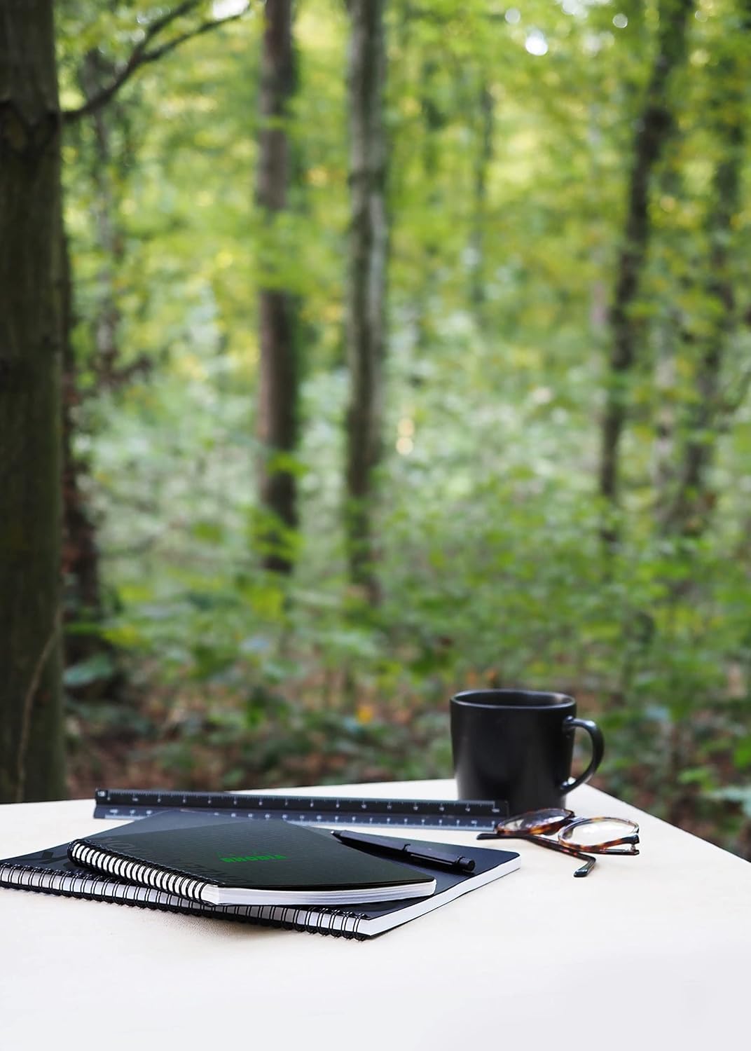 RHODIA 119913C - 100% Recycled and Recyclable Greenbook Notebook - Black - A5+ - Small Squares - 160 pages 6 Hole Punched - Clairefontaine Recycled Paper 90g Fsc® - Polypro Cover      Office Product – February 1, 2023