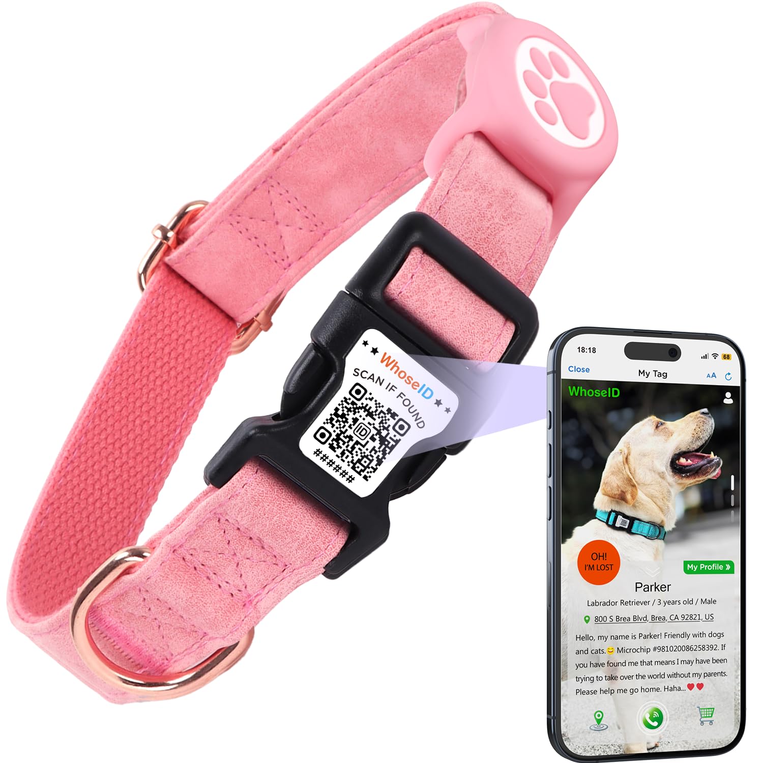 WhoseID Airtag Dog Collar with QR Code Buckle, Leather Dog Collars with Waterproof Air Tag Holder Adjustable Soft Padded Fit for Girl/Boy/Small/Medium