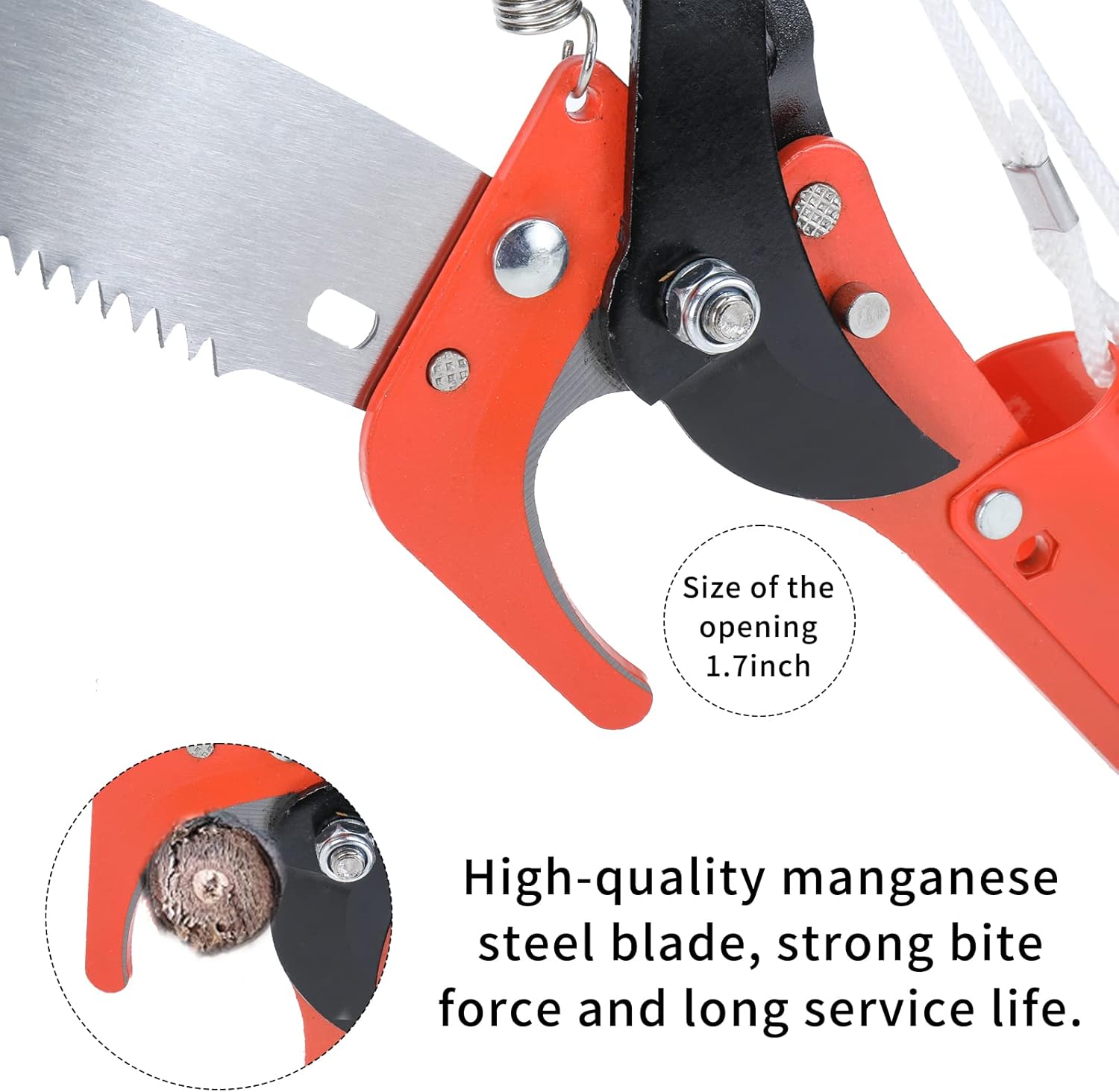 Buy SanSanYa Tree Pruner Shears Head Garden Tree Pruning Saw and Pruner