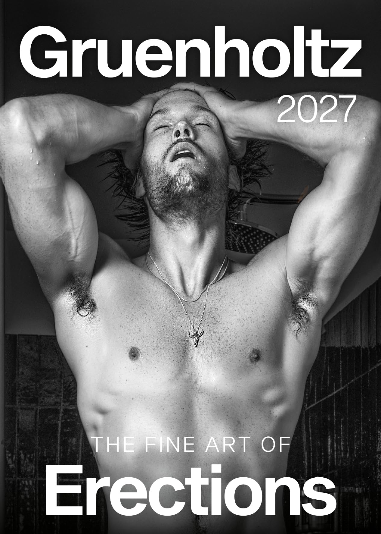 The Fine Art of Erections 2027: Kalender 2027