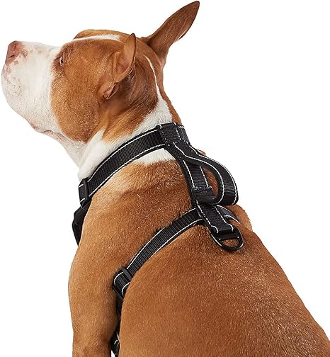 Kong max leash Clearance