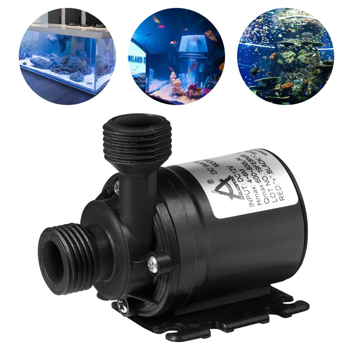 UEETEK Pompe Submersible de DC 12V 800L/H 5M pour Fontaine Piscine système de Circulation Solaire système de Circulation