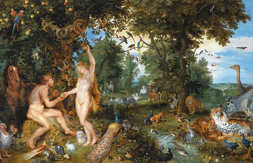 Œuvre Adam en Eva de Rubens l'élégance intemporelle en cadre