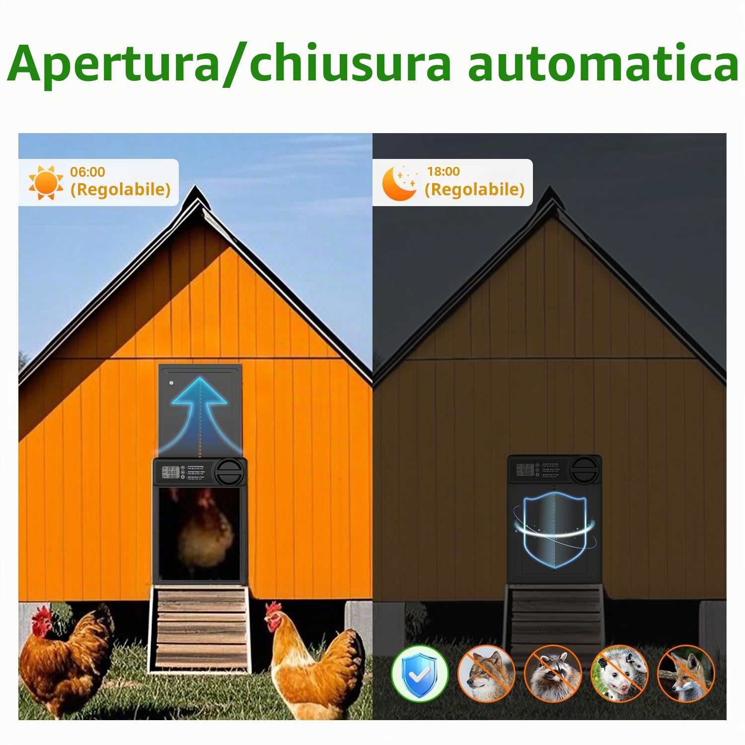 Porta automatica per pollaio, alimentata a batteria, con timer intelligente, sensore anti-pizzicamento, display LCD e promemoria batteria scarica per galline, anatre, oche pollame