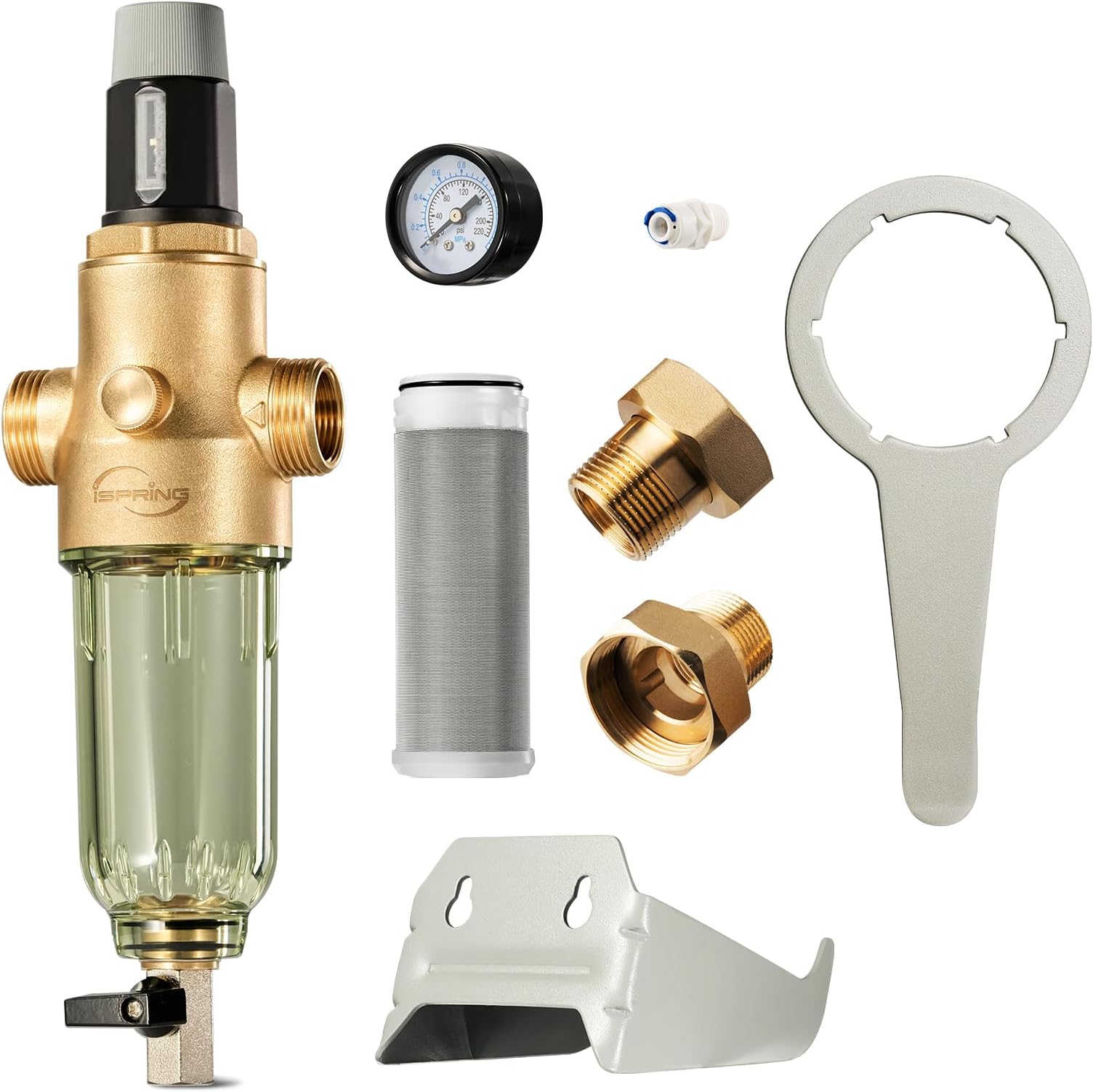 iSpring WSP50PRG 1" Sediment Spin Down Water Filter with Pressure Regulator, High Precision Filter for Urban Water Supply, 50 Micron