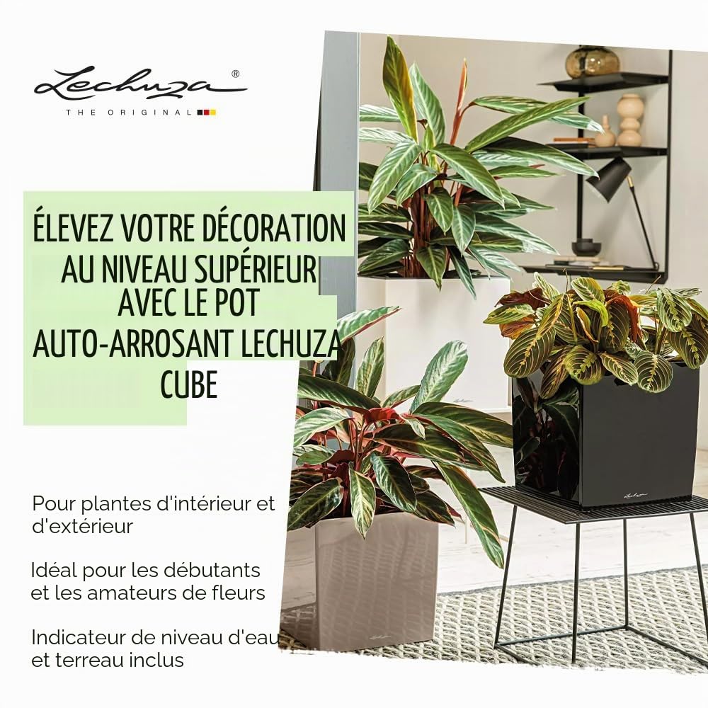 Lechuza – Pot de Fleurs d'Interieur – Premium Cube – Réserve d'Eau Intégrée – Coloris Blanc – 30 x 30 x 30 cm