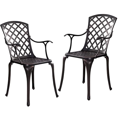 2 Piece Cast Aluminum Patio Chairs, All-Weather Bistro Chairs Set