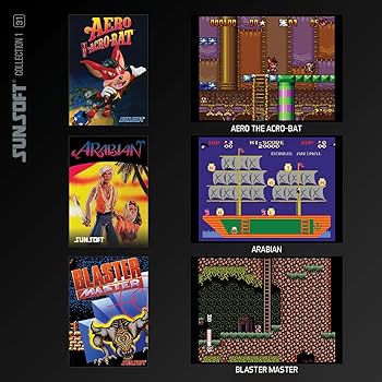Amazon.com: Blaze Evercade Sunsoft Collection 1 : Video Games Amazon.com: Blaze Evercade Sunsoft Collection 1 : Video Games