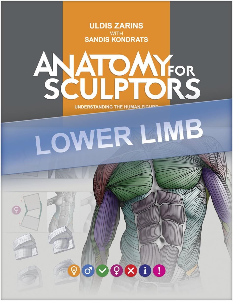 Lower Limb Anatomy For Artists: Understanding the human form (Anatomy For Sculptors Book 4) Kindle Edition