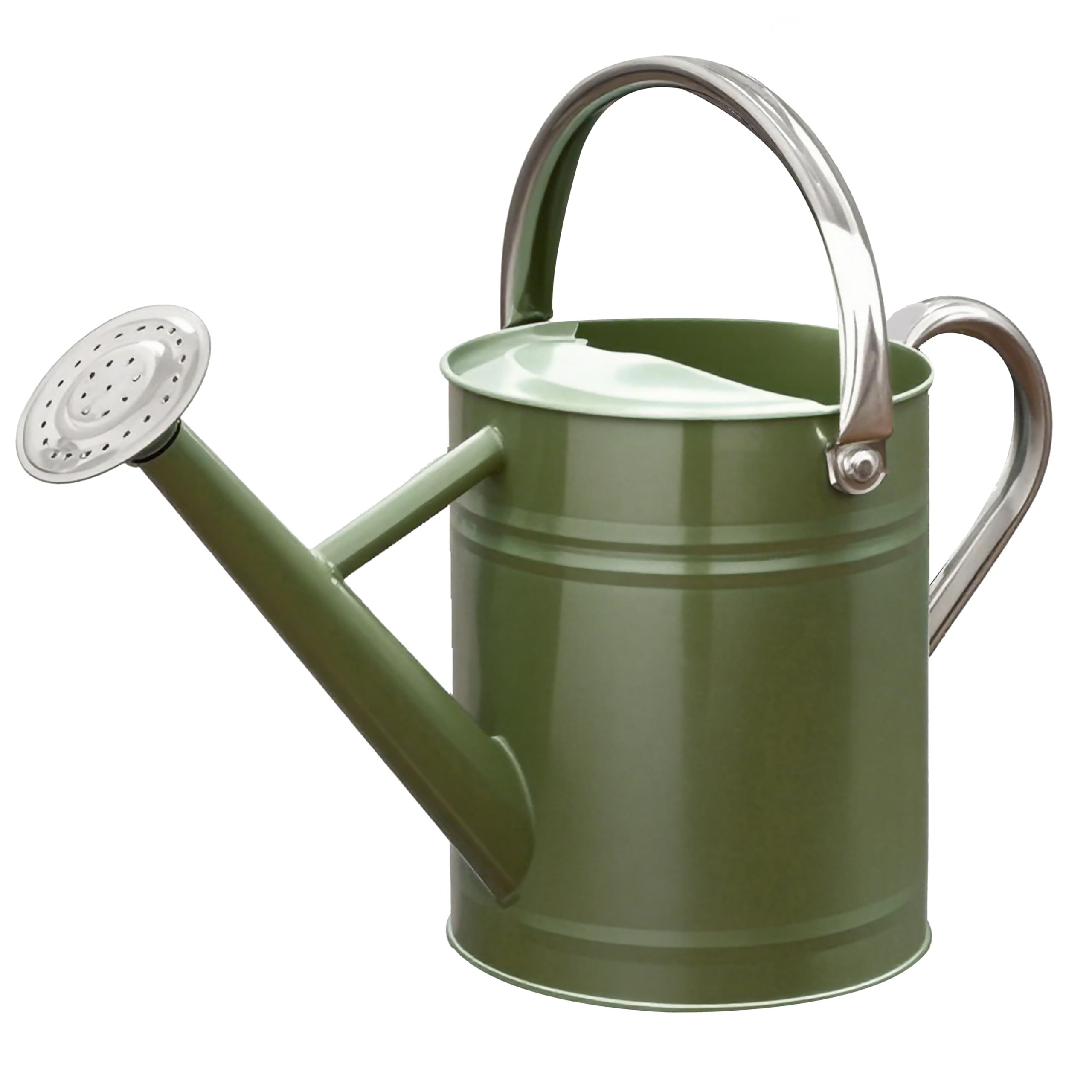 Arrosoir en métal de 2,5 l en acier inoxydable pour arrosage des plantes de jardin extérieur et intérieur (vert émeraude)